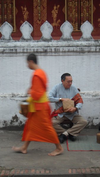 Early Monring Monk Spotting