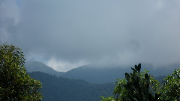 Cloud Forest Storm Looming