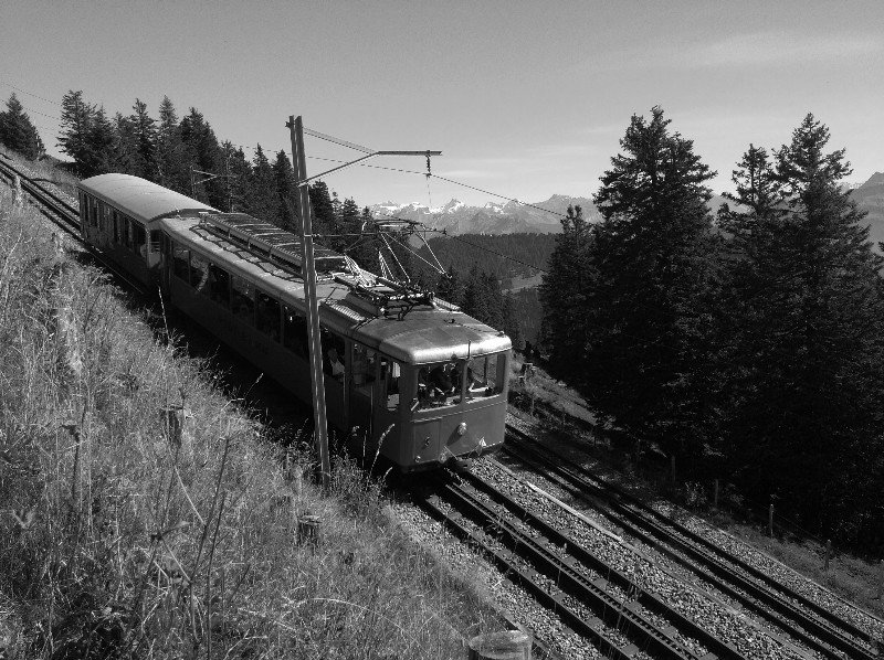 Train down Mt. Rigi