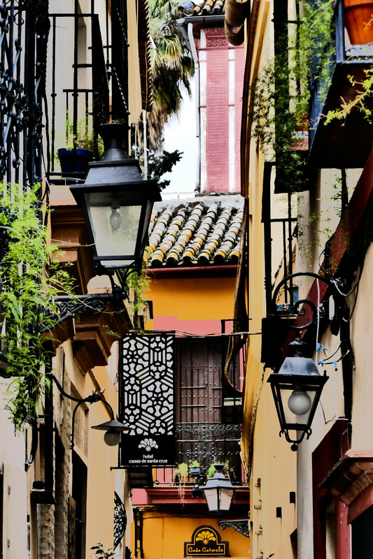 Seville Old Town