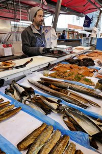 Bergen Fish Market 