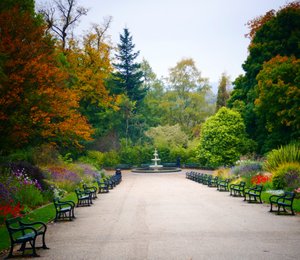 Sheffield Botanical Gardens 