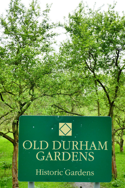 Old Durham Gardens, Durham 