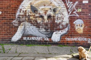Fat As A Butcher's Dog - Street Art 