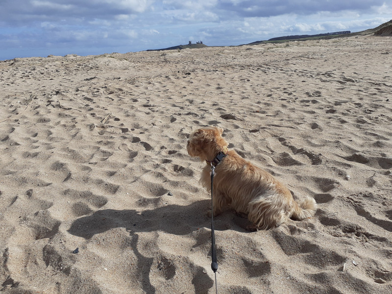 Embleton Bay 