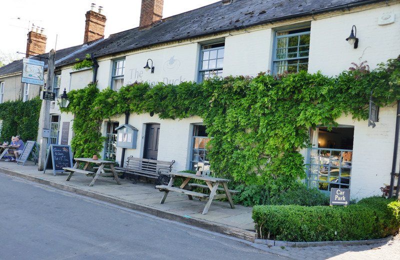 The Dabbling Duck, Great Massingham 