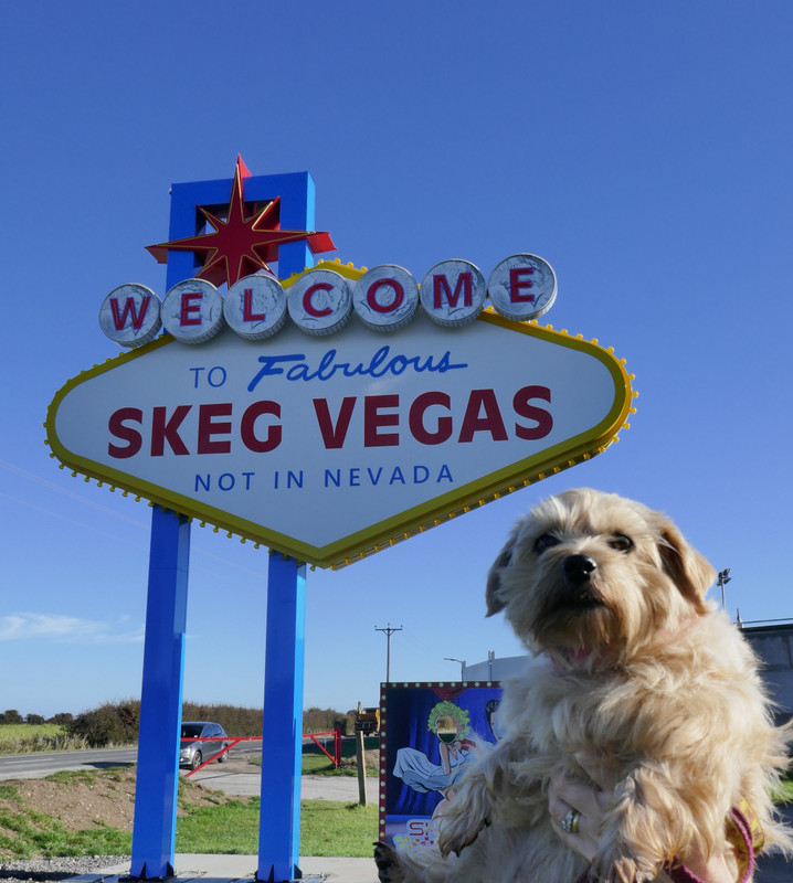 Skeg Vegas Sign 