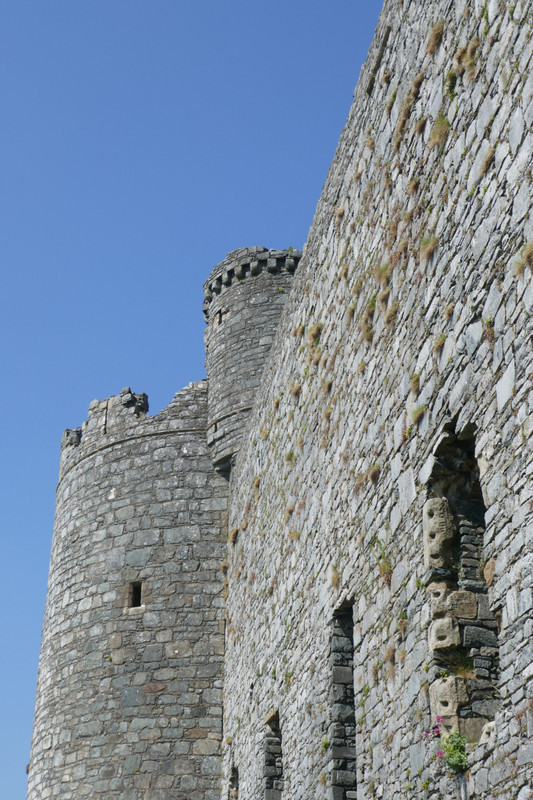 Harlech Castle 