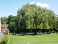 Wellhead Gardens, Bourne 