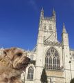 Gloucester Cathedral 