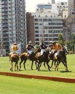 Campo Argentino de Polo 1996