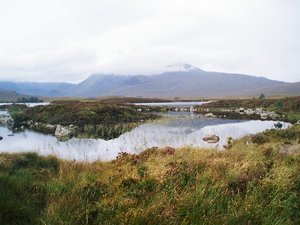Highland View