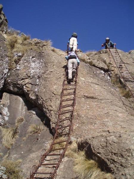 The Chain Ladders