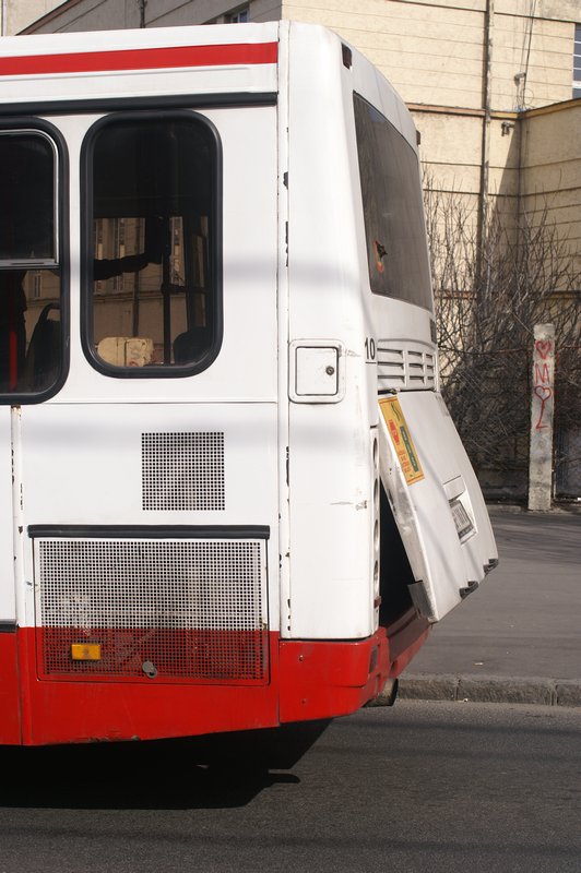 Belgrade Bus