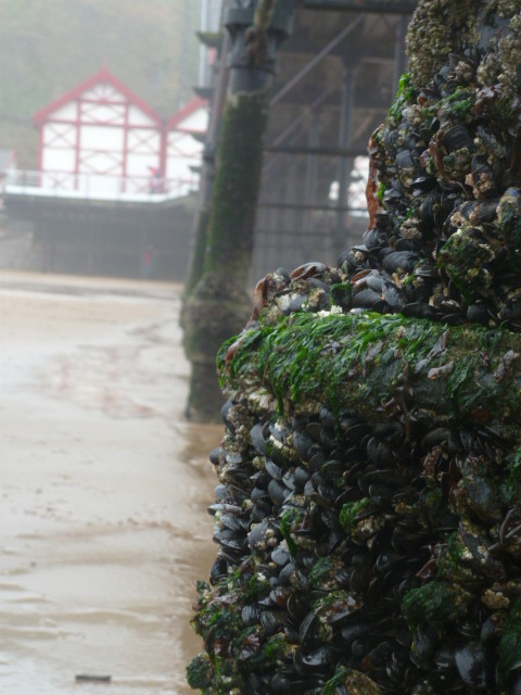 Saltburn Pier