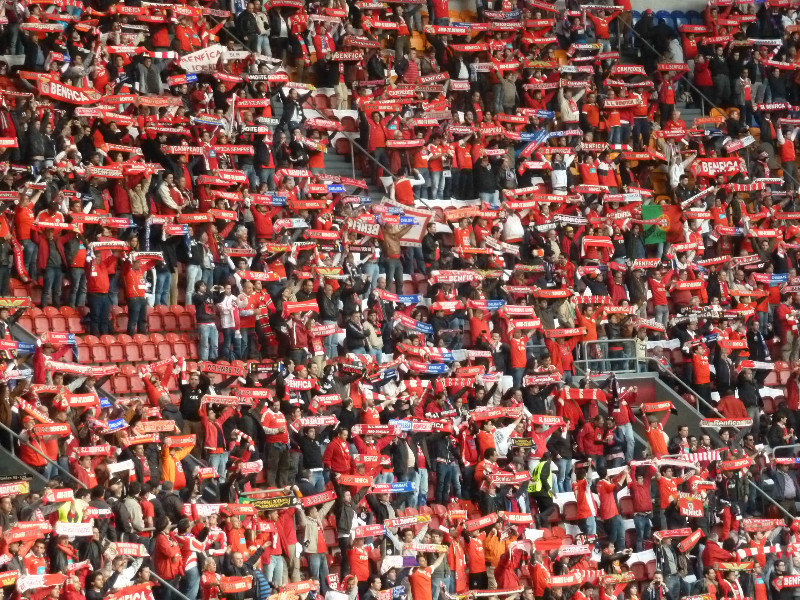 Benfica Fans 4