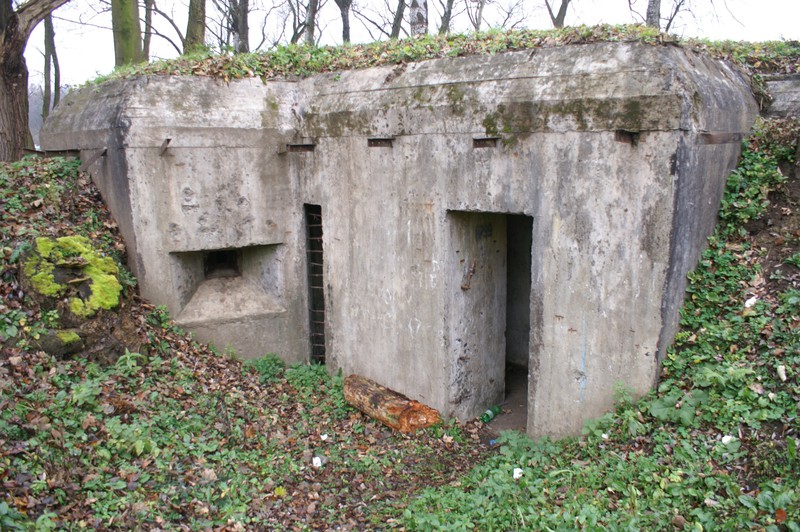 Fort Bakonczyce