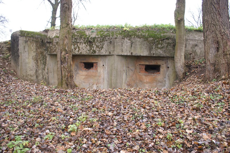 Fort Bakonczyce