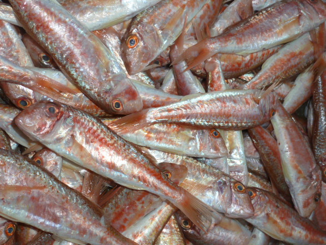 Split Fish Market