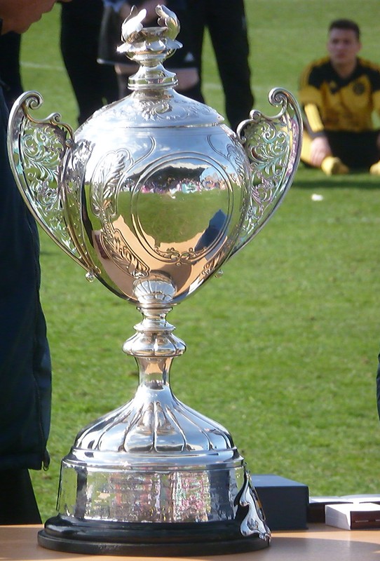 Durham FA Challenge Cup 