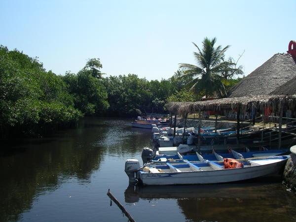 Jungle Boat Cruise