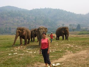 G4 Elephant Park 1