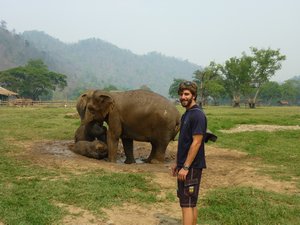G5 Elephant Park 2