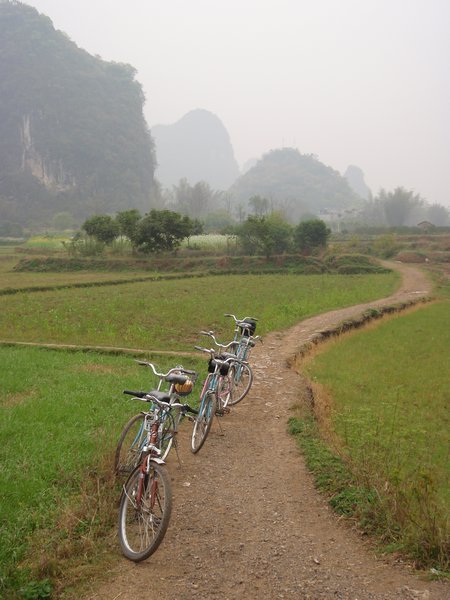 Cycling in the Yulong valley