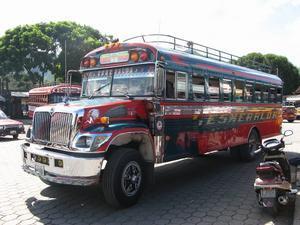 The magic bus