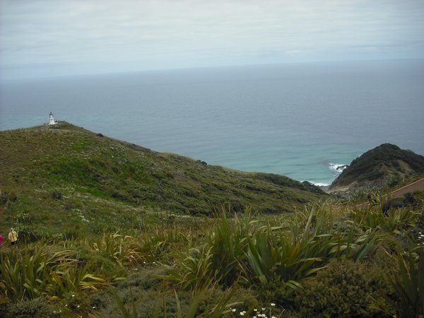 View down to the Cape