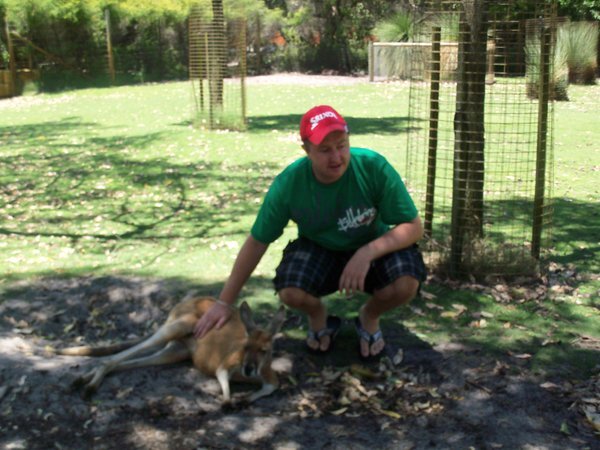 ste and the kangaroo's