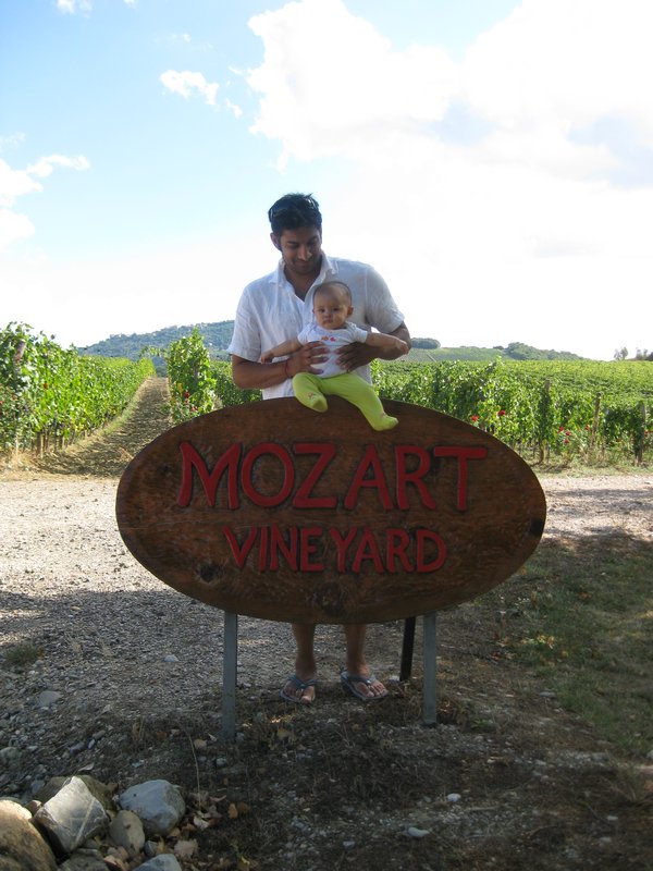 Mozart in the Vineyard