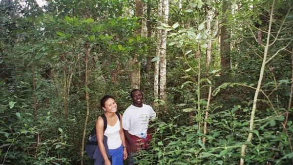 Magamba Rainforest