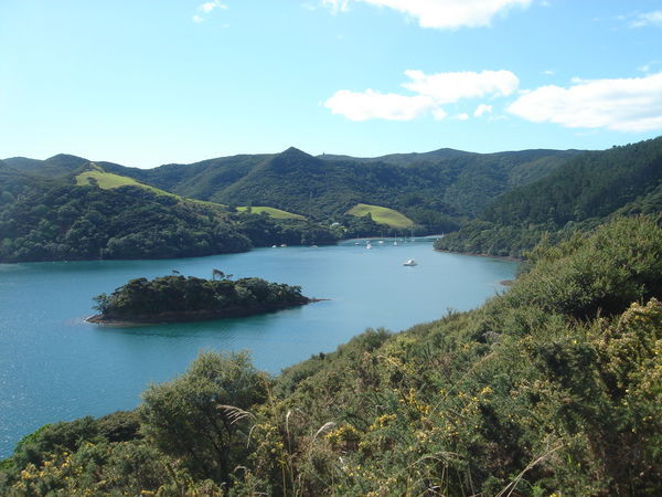 More Great Barrier Island Scenery