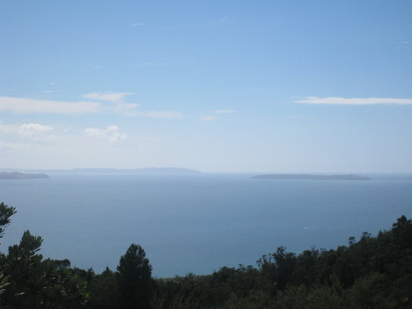 Utsikten fra Rangitoto Island