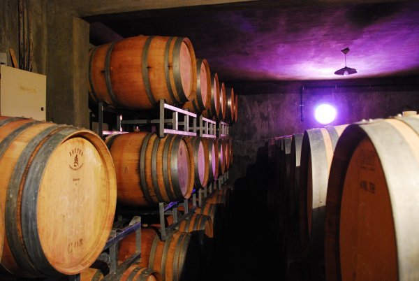 Carinae winery