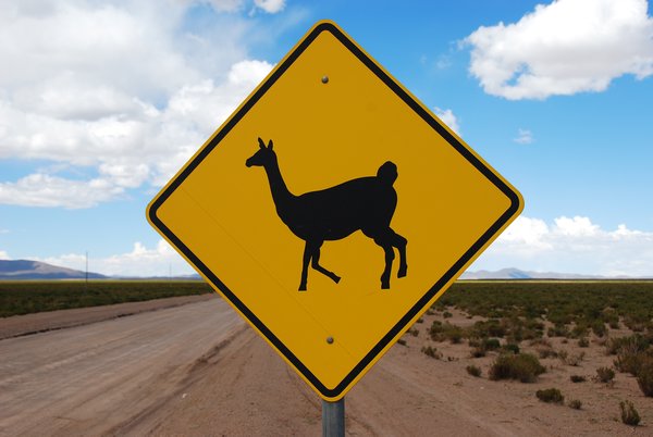 Bolivian road sign