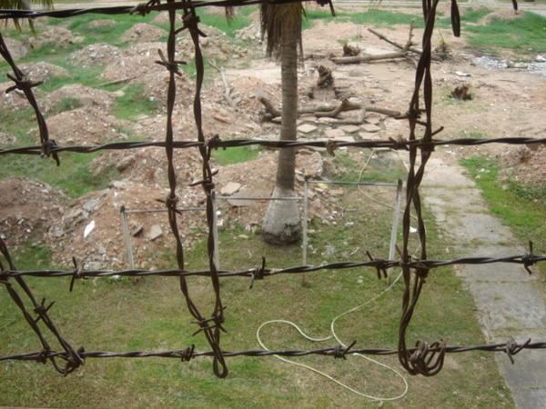 Through the barbed wire