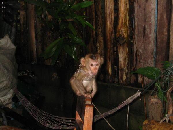 Luang Prabang