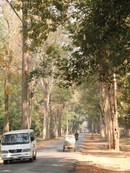 Roads around the Angkor complex