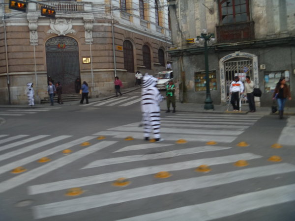 People dress us as zebras to help at the zebra crossings