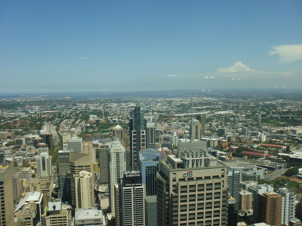 Sky Tower View