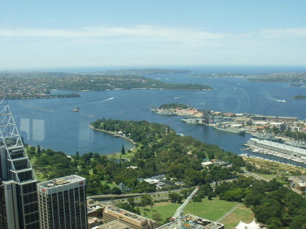 Sky Tower view 2