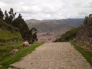 Ruins around Cusco 090