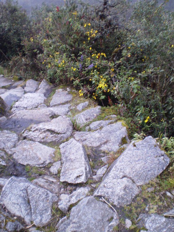 Inca Trail 033