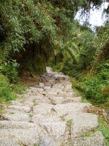 Inca Trail 050