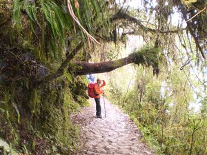 Inca Trail 051