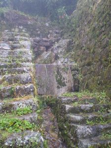 Inca Trail 053