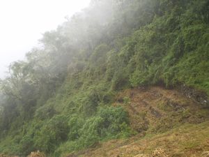 Inca Trail 055