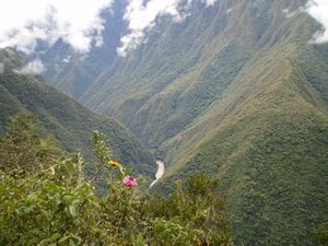 Inca Trail 066